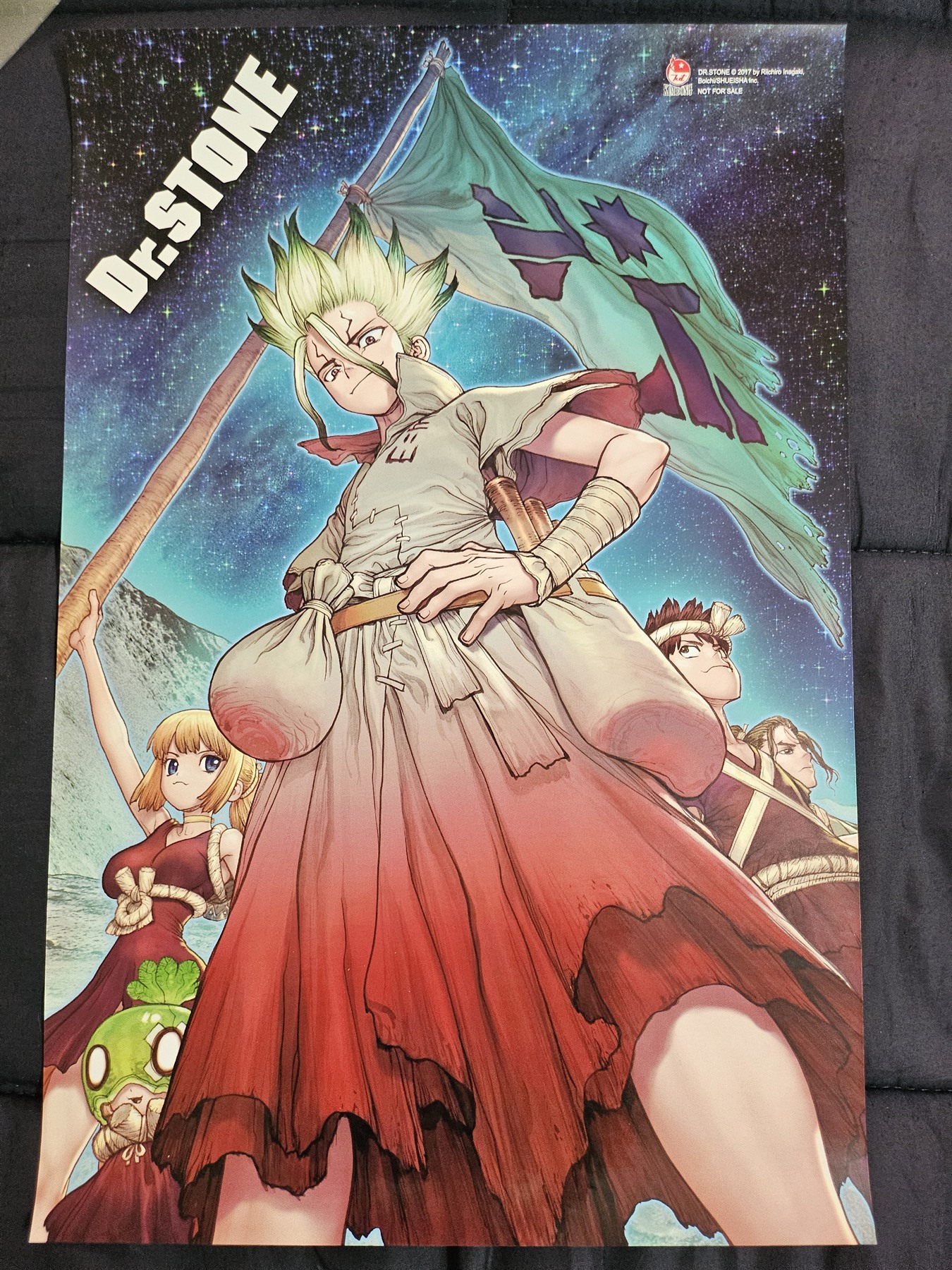 Dr stone